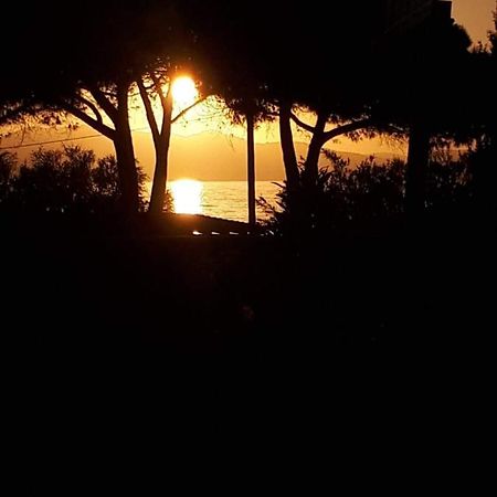 Hotel U Liamone Saint-Florent  Dış mekan fotoğraf